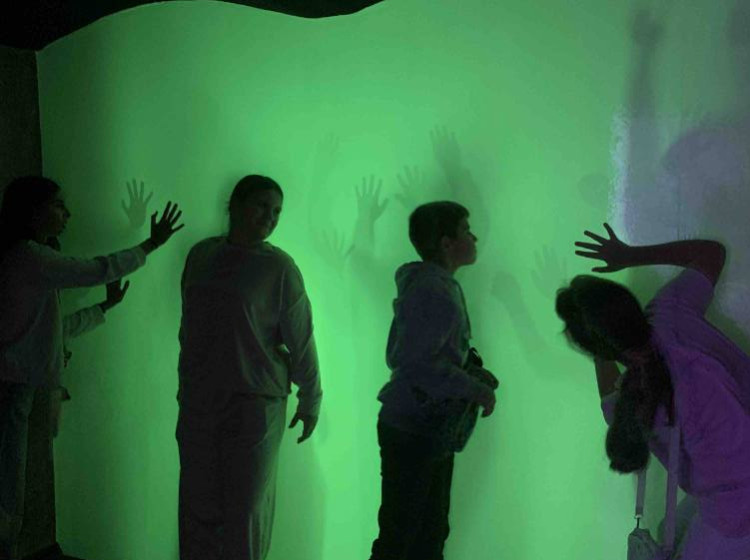 Psihološka seansa za tipičnu braću i sestre